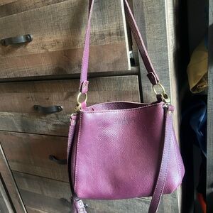 Portland Leather Plum Triangle Crossbody Bag